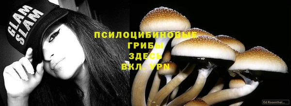 МДПВ Армянск