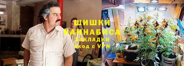 сатива Россошь