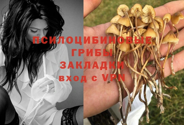 spice Балахна