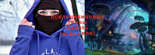 прущая мука Арсеньев