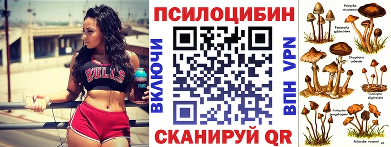 Галлюциногенные грибы мицелий  Болгар 
